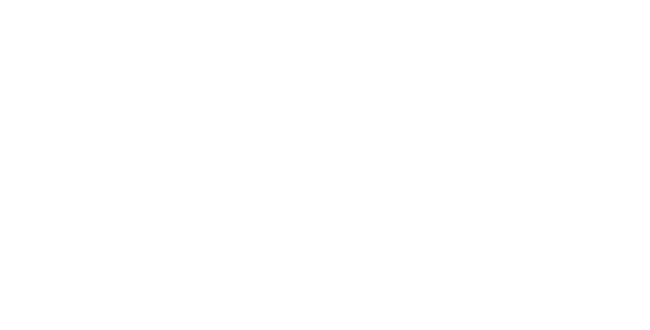 Challenger Capabilities